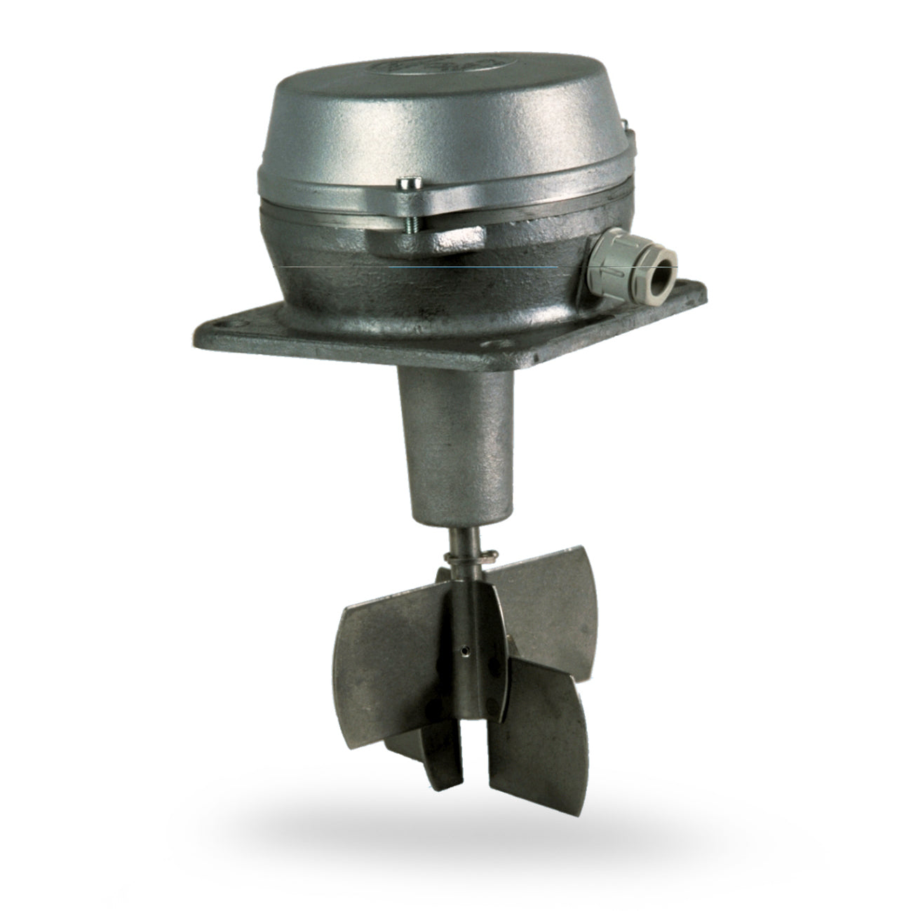 FANTINI COSMI ASE - Bladed level controls for powders and granules