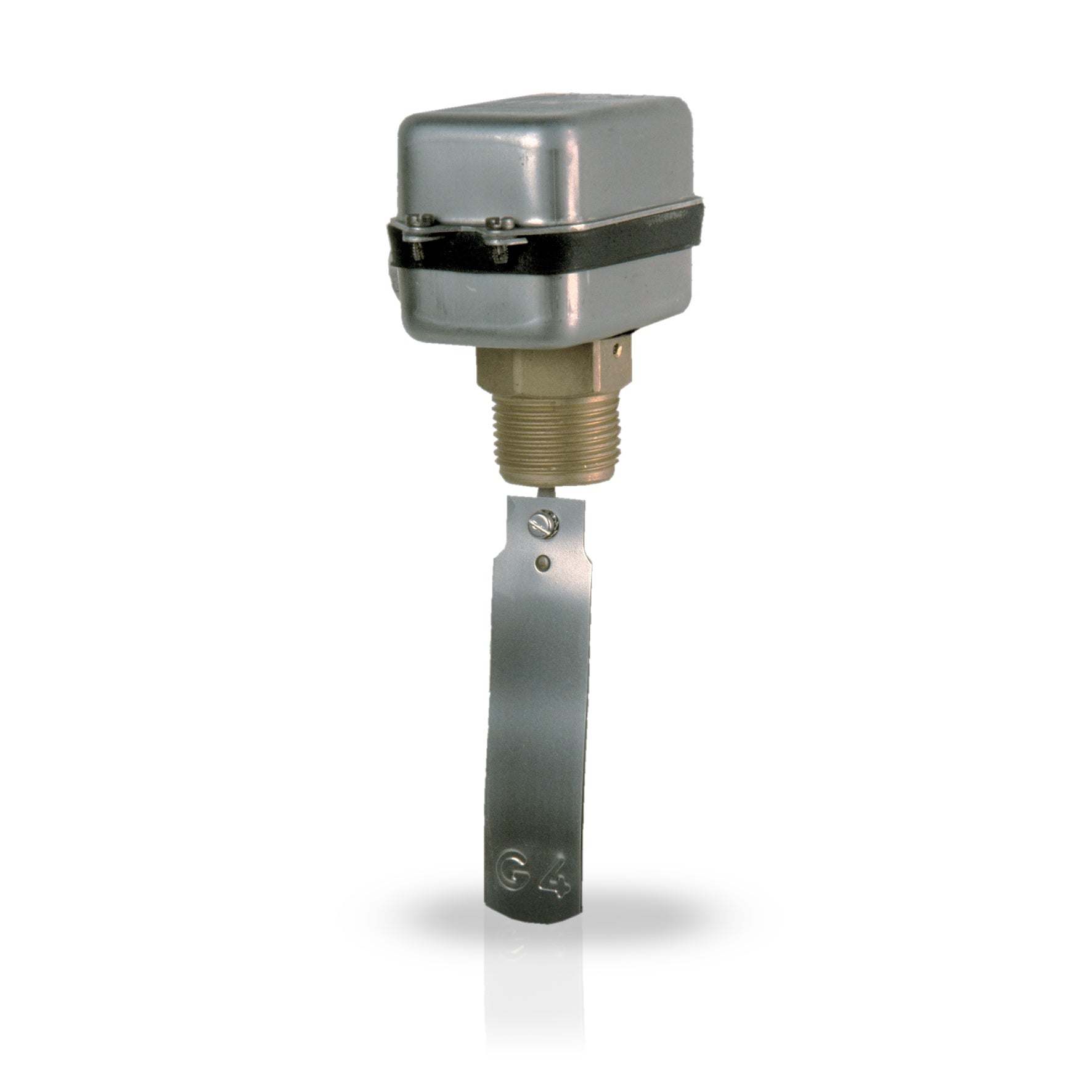 FANTINI COSMI FF81 - Liquid flow switches with stainless steel casing and paddle